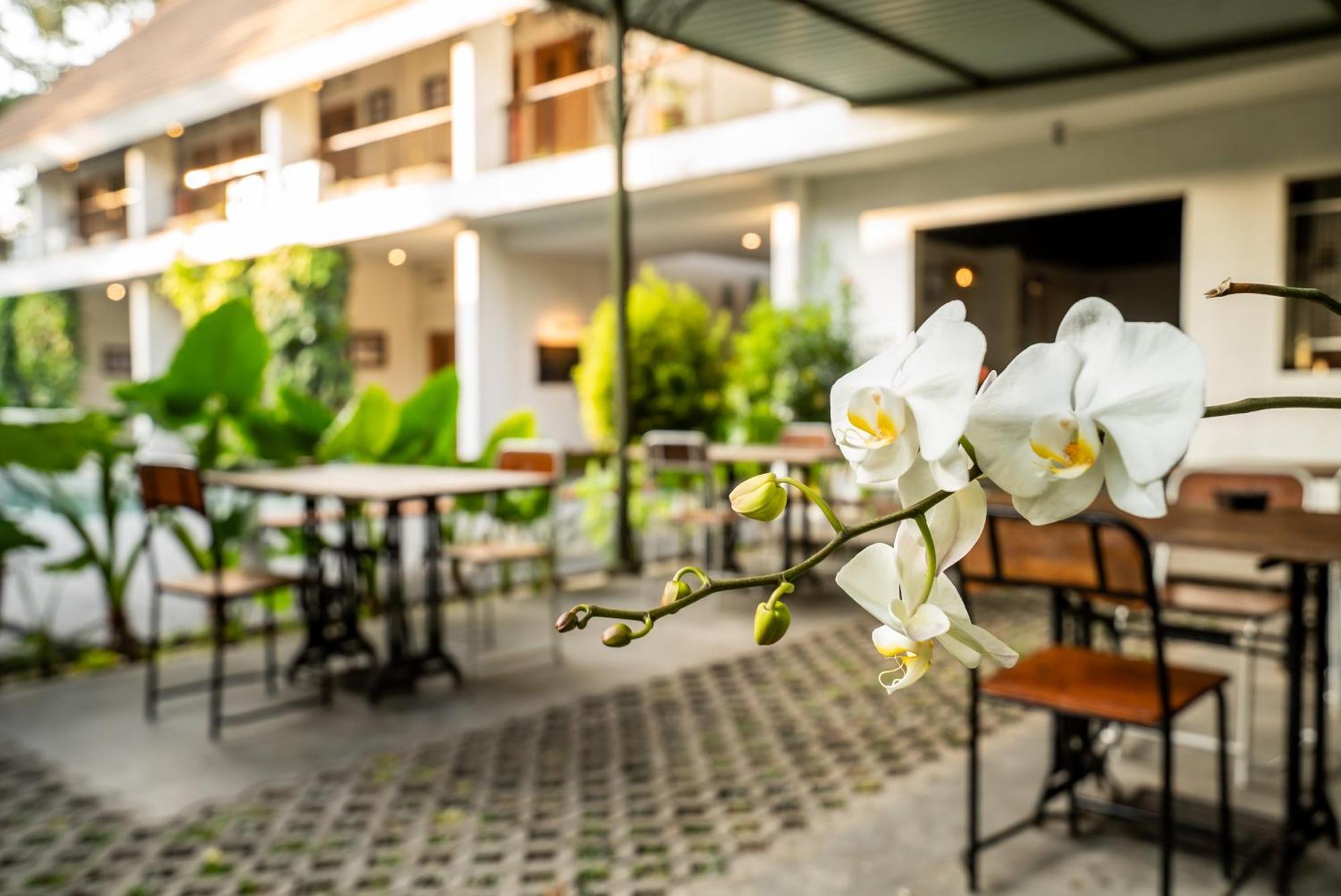 Hotel Blambangan Banyuwangi  Exterior photo